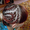 Африканские, французские косички, прически из кос. - Изображение #1, Объявление #263517