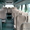 Автобусы новые туристические Дэу, Daewoo BH120F. Продаём, купить , автобусы. - Изображение #3, Объявление #250299