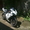 Honda CBR 600 RR #294976
