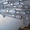 запчасти на Раздатчик-смеситель кормов РСК-12 "БелМикс" - Изображение #6, Объявление #473931