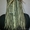 Наращивание волос,  африканские косички #501891