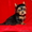 Йорки щенки продам - Изображение #1, Объявление #524111