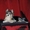 Красивые щенки йокширского терьера и бевер йорка - Изображение #2, Объявление #815974