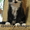 Котята мейн кун Самые крупные домашние кошки! - Изображение #4, Объявление #938483