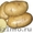 продам семенной картофель из Беларуси в Ставрополе - Изображение #2, Объявление #1315240