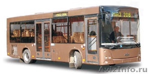 Автобус МАЗ-206-060 - Изображение #1, Объявление #460209